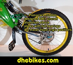 Click here to visit downhill ebikes.com